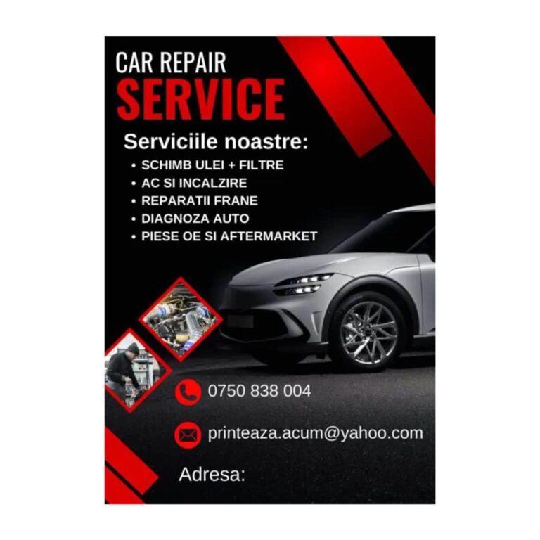 Pliant/ Flyer personalizat