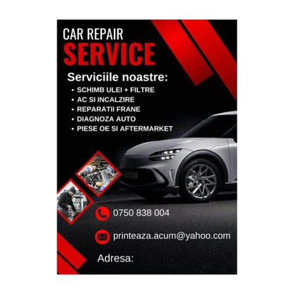 Pliant/ Flyer personalizat