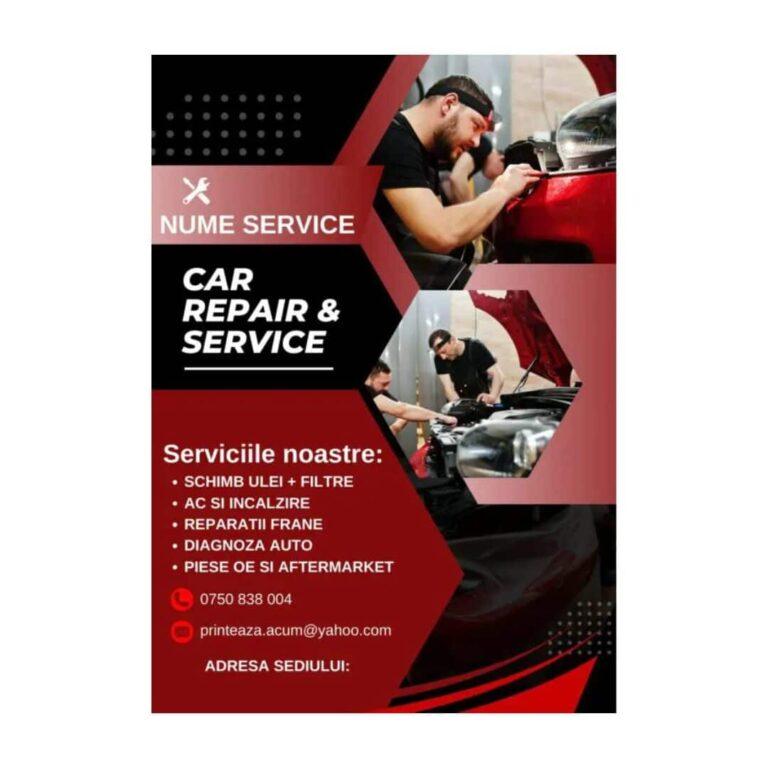 Pliant/ Flyer personalizat